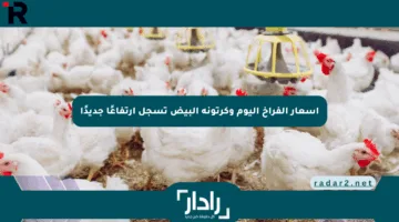 أسعار الفراخ اليوم وكرتونة البيض تسجل ارتفاعًا جديدًا